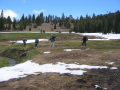 Crossing the bog at Milk Ranch