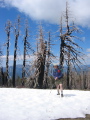 Snow, me and ghost trees