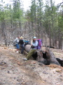 Dale, Theresa and Paige at the big fallen tree